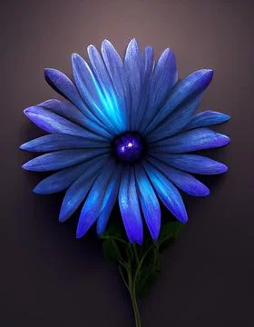 Close up of magic blue, African Daisy on floor. 3d render. Soft light on top. Stock Illustration