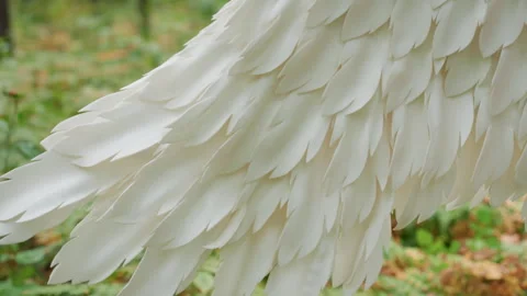 Close Up Magical White Wings Feathers Fluttering In Sunlit Forest 動画素材 321591242