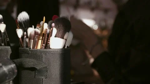 Close-up of a makeup artist's brush for makeup. Stock Footage 156062926