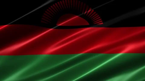 Close up of the Malawi flag blowing in the wind Stock-Footage 348687414