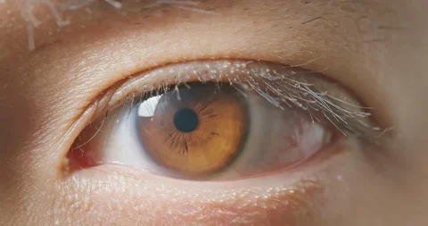 Close up of male eye Video stock 121950720