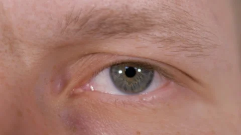Close-up of male eye. the man opens and closes his eyes Stock Footage 94101232