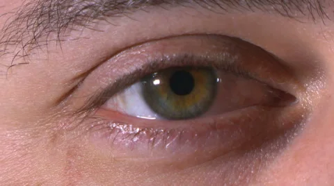 Close-up of male eye opens then blinks Stock Footage 63567193