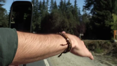Close Up Male Hand in de Wind Out of Driving Car Window on Summer Day. Stock Footage 199281730