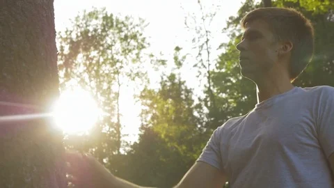 Close up of male hand gently touching a tree trunk at sunrise. 動画素材 76251641