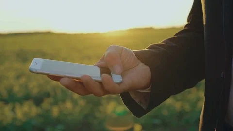 Close up of male hand using smartphone on the green field background 4K Stock Footage 76997938