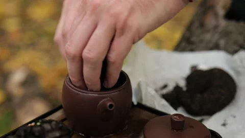 Close-up. male hands put a portion of pu-erh tea in a clay teapot. Stock Footage 220415242