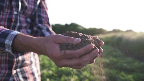Close up of male hands touching dry ground in an agricultural field, Soil Stock Footage 199063208