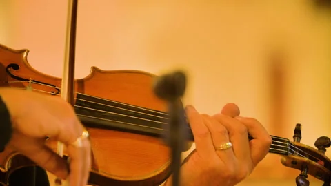 Close up of male violinist playing in a string quartet in a small, bright Stock Footage 235979505