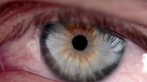 Close-up of a Male's Eye Stock Footage 12519510