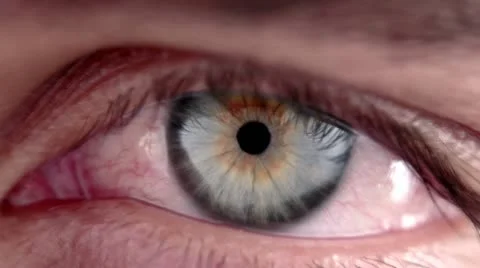 Close-up of a Male's Eye Stock Footage 12519511