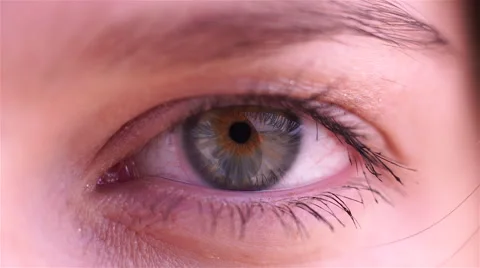 Close-up of a Male's Eye Stock Footage 68490725
