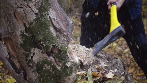 Close-up of a man with an ax in the forest. Stock Footage 98925624