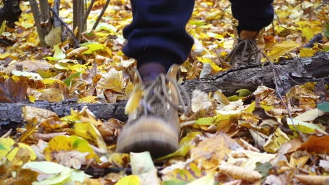 Close-up of a man with an ax in the forest. Stock Footage 98927414