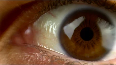 Close up man brown eyes. Macro footage. Slow motion 4K 库存影片 280230316