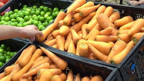 Close up of man choosing orange carrots in supermarket 스톡 동영상 141010039