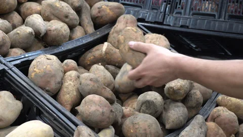 Close-up of a man choosing sweet potatoes in the supermarket Stock Footage 141014293
