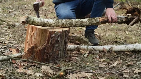Close up of a man chopping firewood in the forest. 库存影片 334600588