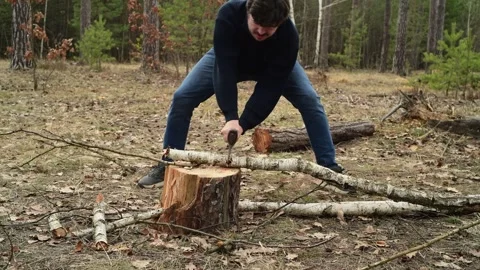 Close up of a man chopping firewood in the forest. Видео 334600665