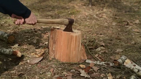 Close up of a man chopping firewood in the forest. Видео 334600712