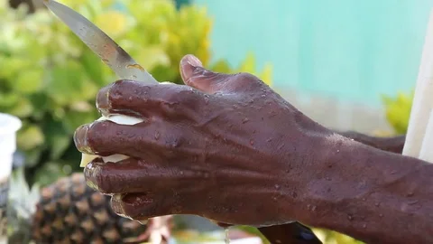 Close Up of man cutting fruit Stock Footage 88922014