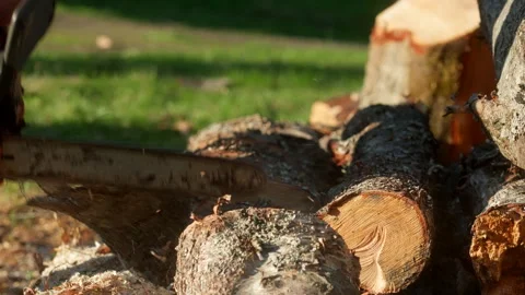 Close Up Of Man Cutting Logs With A Chainsaw Stock Footage 327767347