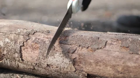 Close up on man cutting tree trunk with handsaw to make campfire in forest Vídeo Stock 227476825