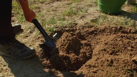 Close-up of a man digging a hole with a shovel for planting a tree in the park. Stock Footage 195008918