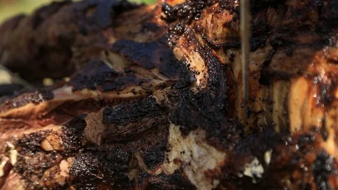 Close up of a man doing bbq Stock Footage 98984442