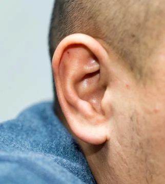 Close up of man ear Stock Photos