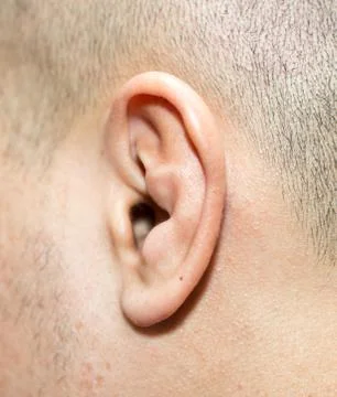 Close up of man ear Stock Photos