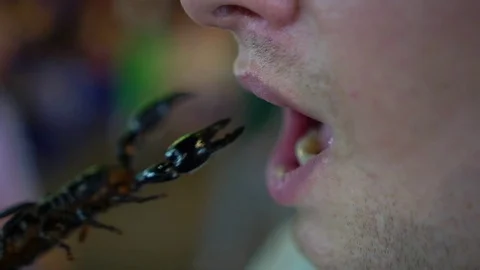 A close-up of a man eating a roast scorpion. Stock Footage 77559244