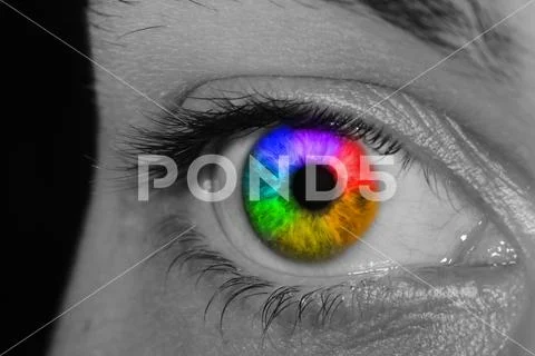 Close Up Of A Man Eyes, macro Stock Photos