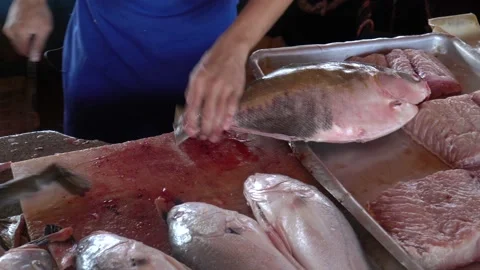 Close up of man fishmonger hands cutting fish, Colossoma macropomum, at market. Stock Footage 147194954