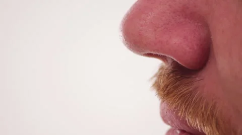 Close up of a man flaring the nostrils of his nose, sniffing and smelling Stock Footage 63083481