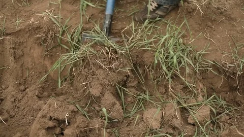 Close up man in the garden digging a hole with a shovel Stock Footage 82080777