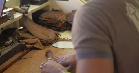 Close Up, Man Hand Rolling Cigars, Dried Tobacco Leaves in Shop Stock Footage 105824018