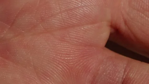 Close-up of man hand skin texture. Macro Detailed human skin, lines on hand palm Vidéo 257083274