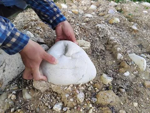 Close up man hands tries to pull up the big stone from ground. Stock Photos