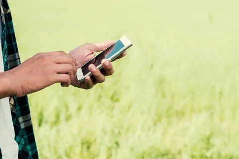 Close-up of man hands using his smartphone outdoor in the park. Stock Photos