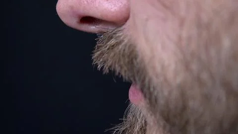 Close-up of a man having a beard trimmed with a trimmer on a black background Stock Photos