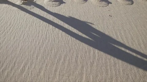 Close-up of  man leg/shoe going alone in the desert. 스톡 동영상 56058075