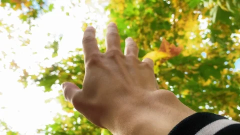 Close up. Man looks at the sun through his hand on golden autumn background. Stock-Footage 116169151