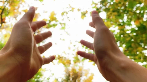 Close up. Man looks at the sun through his hand on golden autumn background. Stock-Footage 116169193
