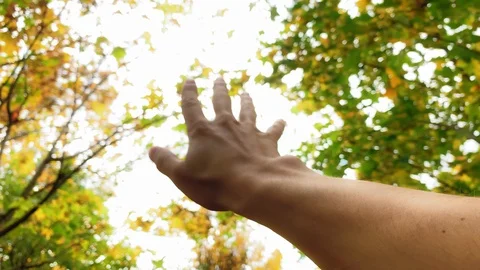 Close up. Man looks at the sun through his hand on golden autumn background. Stock Footage 116169238