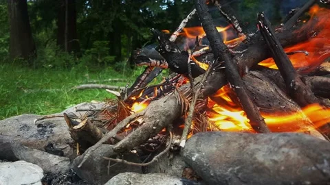 Close up of man made fire in the woods Stock Footage 135119532