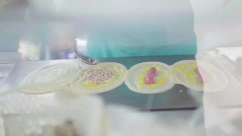 Close up man making thai local pancake with sausage and minced pork 100fps Stock-Footage 156172222