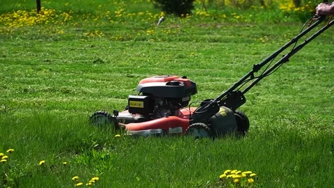 Close-up of a man mowing grass in the backyard with a lawn mower. Mowing Stock Footage 226873577
