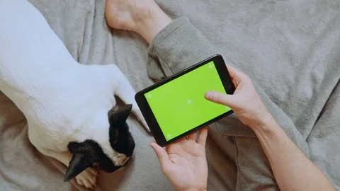 Close up man with pet at home Stock Footage 127844098