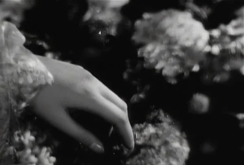 Close-up of man placing wedding ring on woman's finger, 1930s Stock Footage 95348015